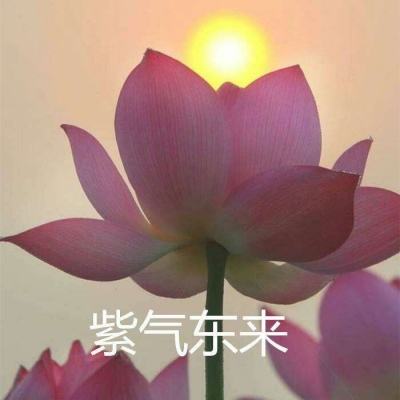 全民屠龙内测版下载